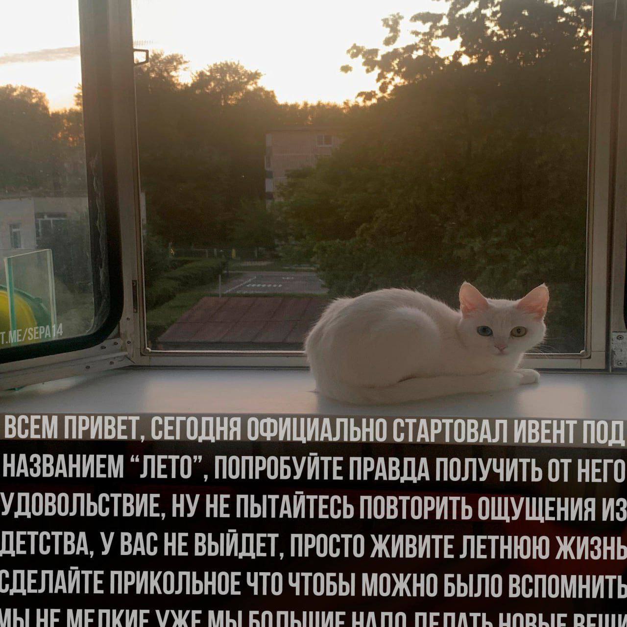 Приключения деда. Январь-Июнь 2025.