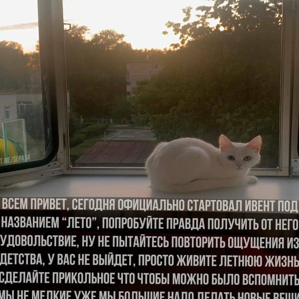 Приключения деда. Январь-Июнь 2025.